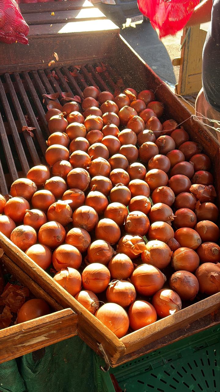 Cebola